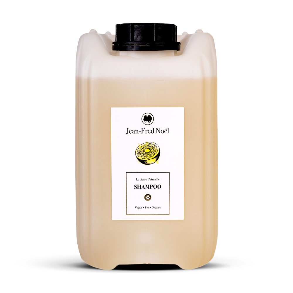 Le citron d'Amalfie Shampoo b2b